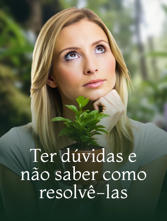 43.webp
