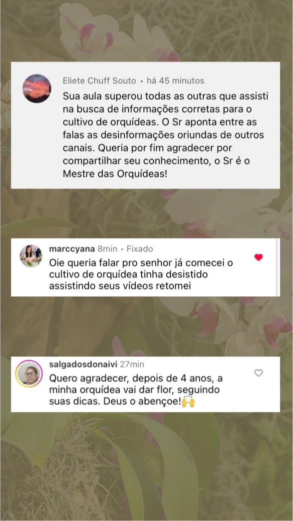 depoimento-02-1.webp