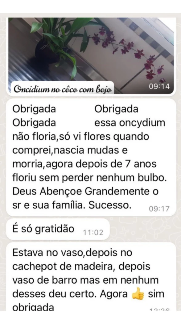 depoimento-04-1.webp