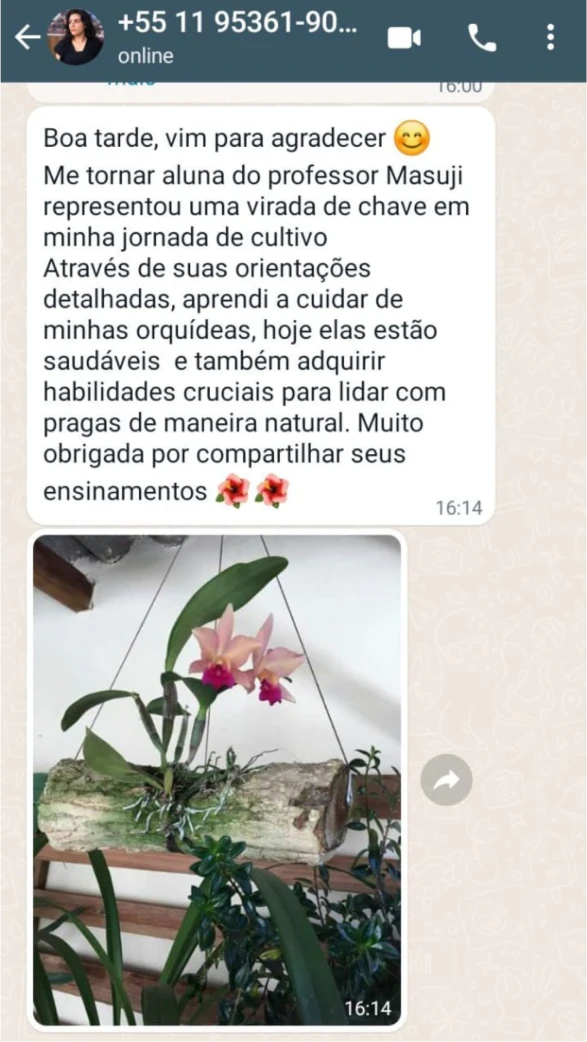 depoimento-06-1.webp