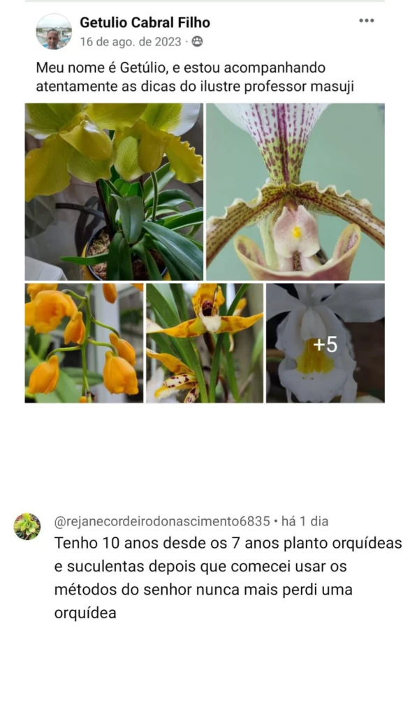 depoimento-08-1.webp